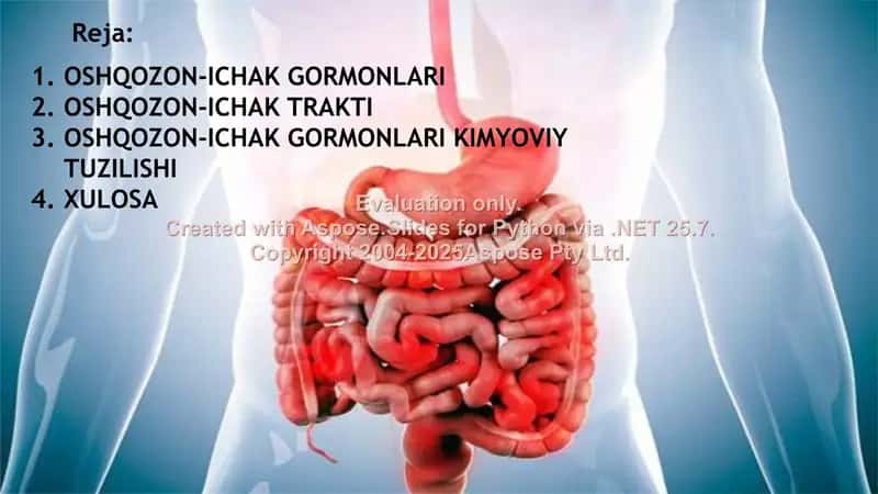 Oshqozon-ichak gormonlari 2