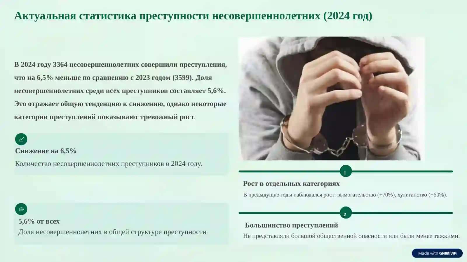 Преступность, преступность несовершеннолетних и профилактические услуги 2