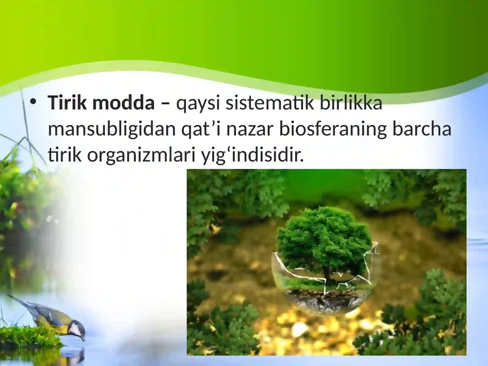 Hayot qobig'i tushunchasi va D.I. Vernadskiyning tirik modda haqidagi ta'limoti 2