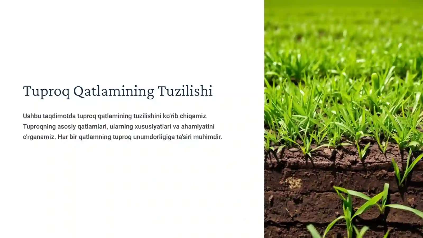 Tuproq Qatlamining Tuzilishi 2