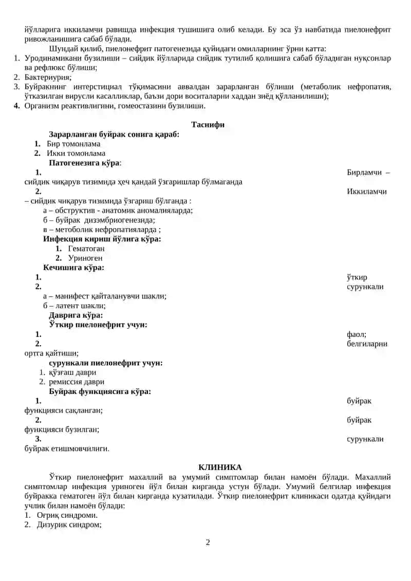 Пиелонефрит 2