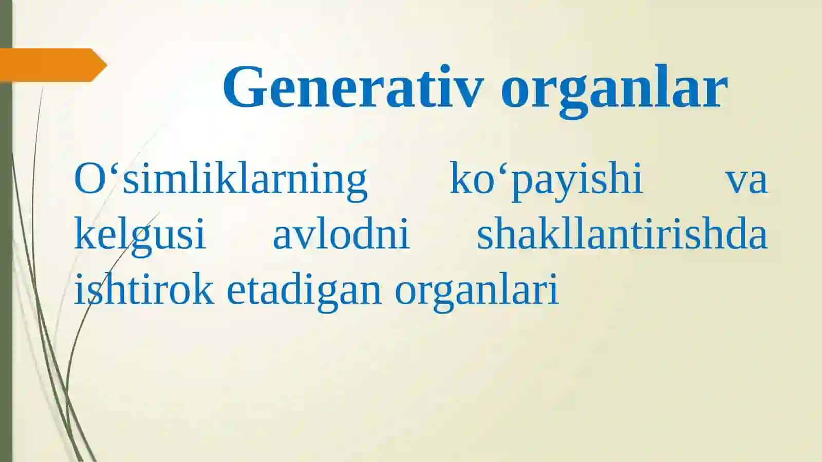O`simliklarning generativ organlari filogenezi 2