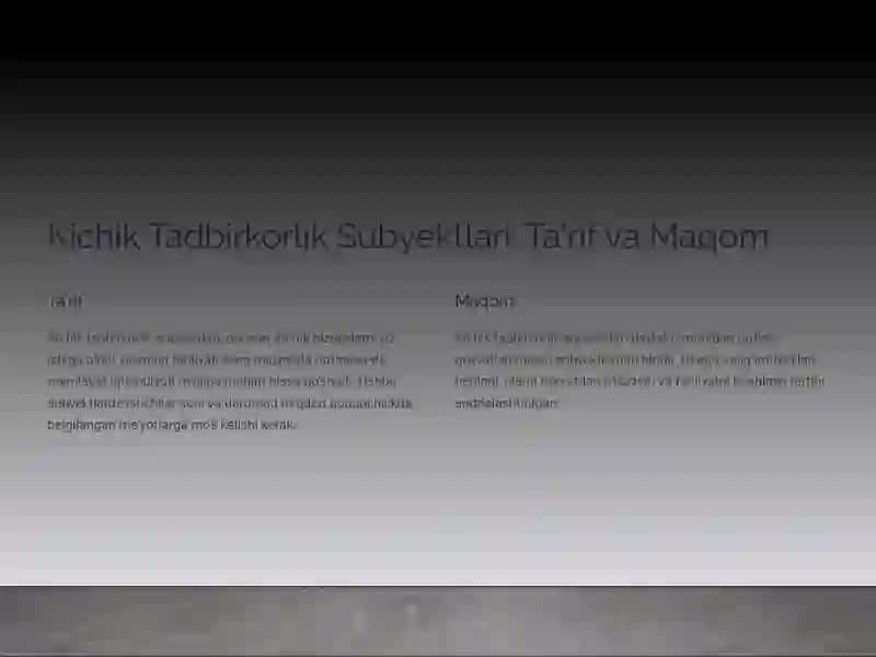 Kichik Tadbirkorlik Subyektlari: Umumiy Ko‘rinish 2