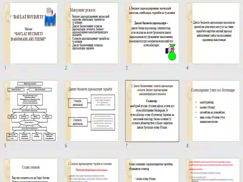 DAVLAT BYUDJETI DAROMADLARI TIZIMI 2