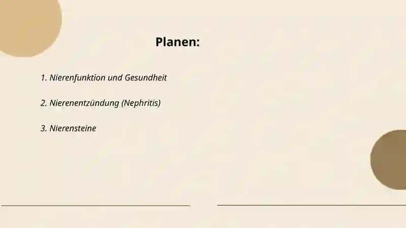 Nierenfunktion und Gesundheit 2