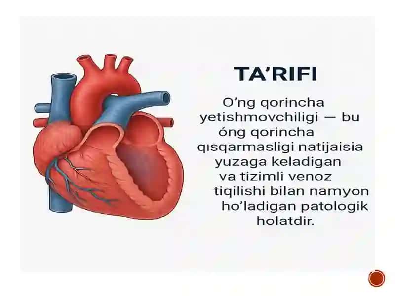 O‘NG QORINCHA YETISHMOVCHILIGI: ETIOLOGIYASI, PATOGENEZI, KLINIK MANZARASI VA EKG O‘ZGARISHLARI 2