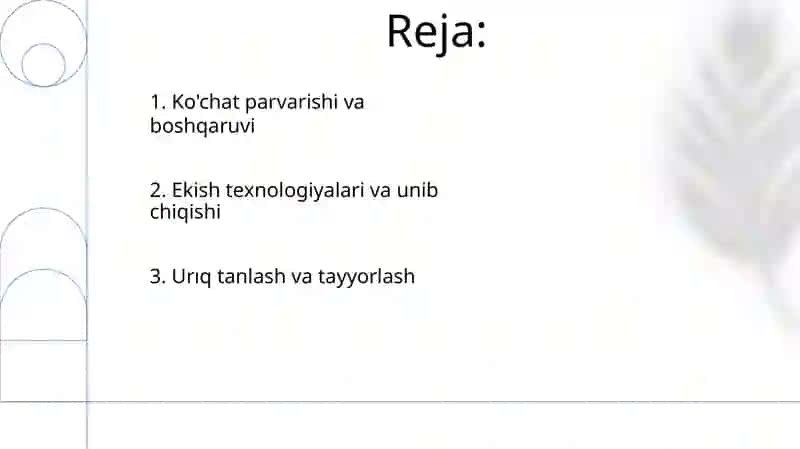 Urugʻlik payvantagni yetishtirish 2