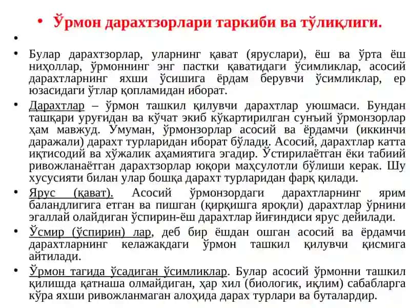 Ўрмон морфологияси, асосий элементлари ва компонентлари 2