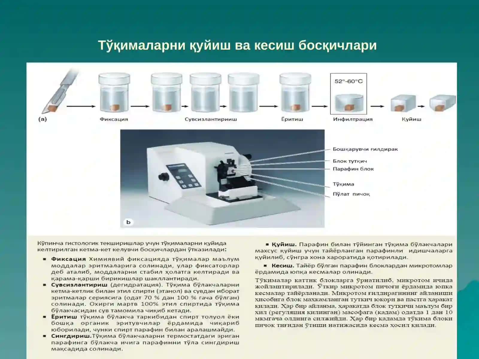 ЦИТОЛОГИЯ 2
