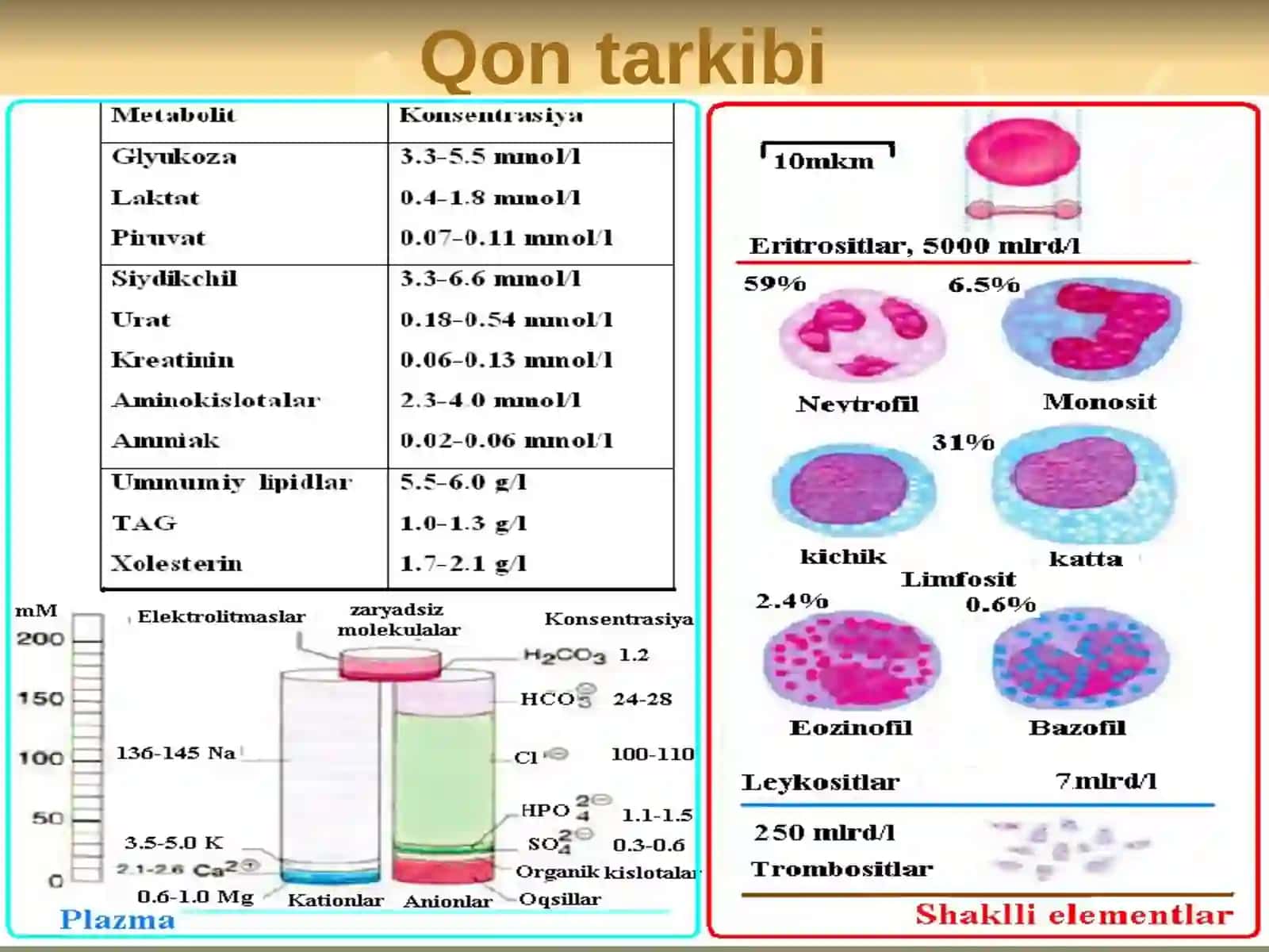 QON VA LIMFA-RETIKULYAR TIZIMI BIOKIMYOSI 2