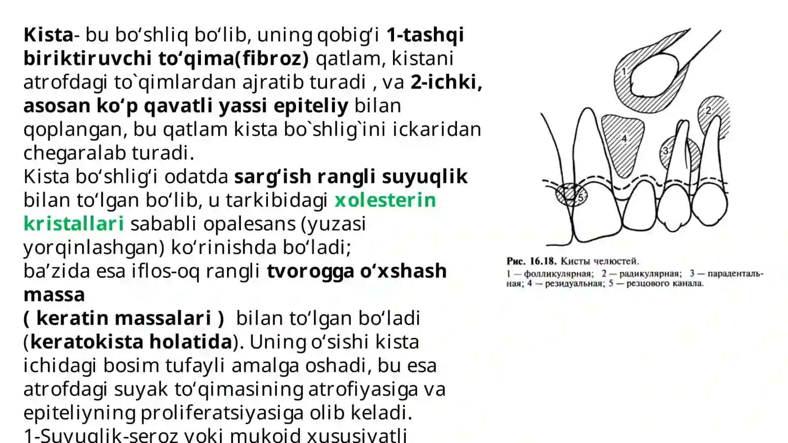Jag` suyaklarining odontogen epitelial kistalari 2