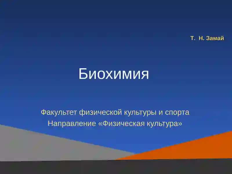 Электронный учебно-методический комплекс 2