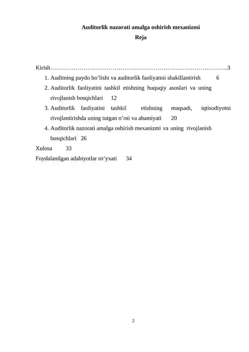 Auditorlik nazorati amalga oshirish mexanizmi 2