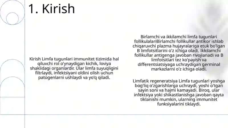 Limfa Tugunlari Birlamchi Va Ikkilamchi Limfa Tugunchalari (Follikullar) Tuzilishi Va Hujayraviy Tarkibi. 2