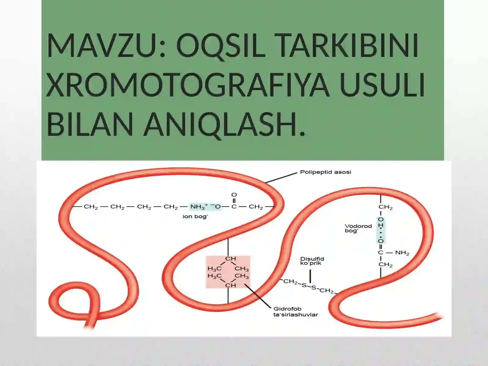 OQSIL TARKIBINI XROMOTOGRAFIYA USULI BILAN ANIQLASH 2