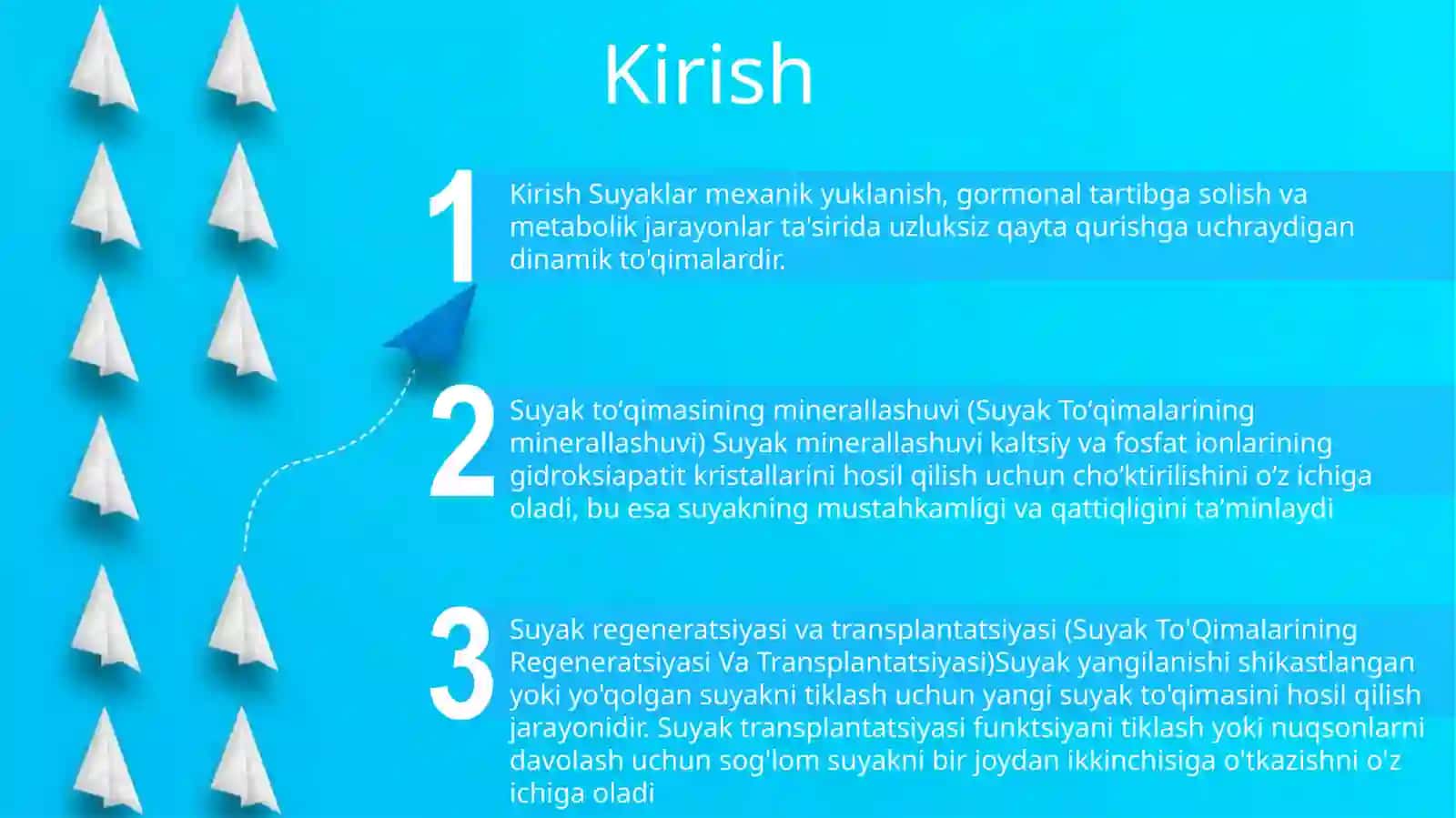Suyak To'Qimalarining Minerallashuvi, Uning Tartibga Solinishi Va Buzilishlari. Suyak To'Qimalarining Regeneratsiyasi Va Transplantatsiyasi. Suyakning O'Sishiga Ta'Sir Qiluvchi Omillar 2