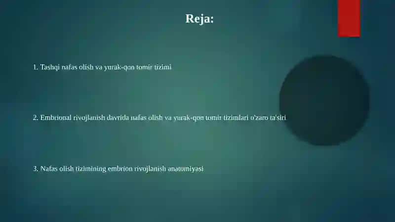 Nafas olish va yurak-qon tomir tizimi anatomiyasi 2