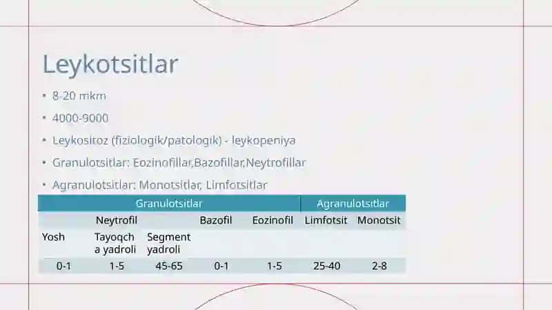 Leykotsitlar 2