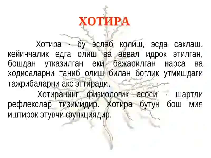 Хотира 2