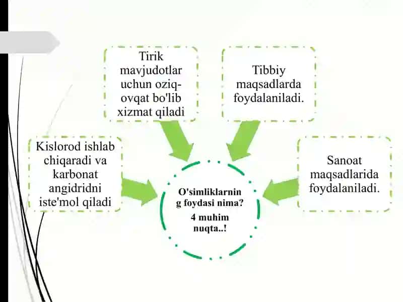 O'simliklar olamidan foydalanish va muhofaza qilish 2