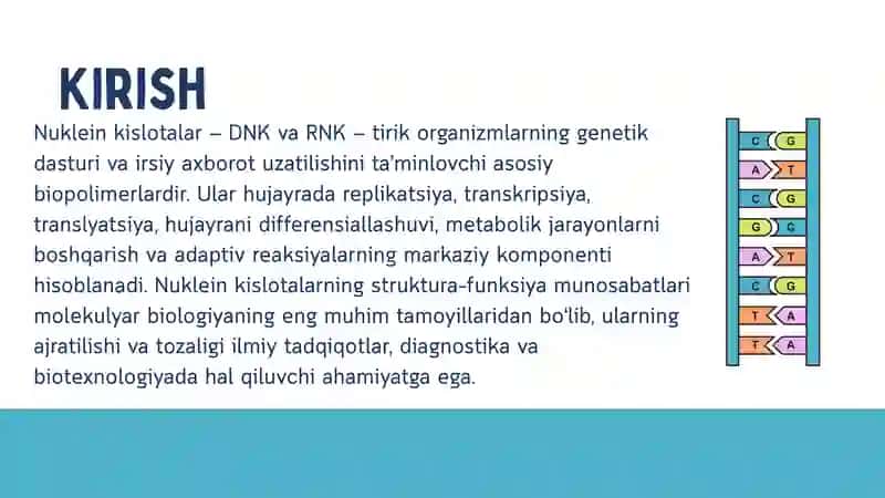 Nuklein kislotalar 2