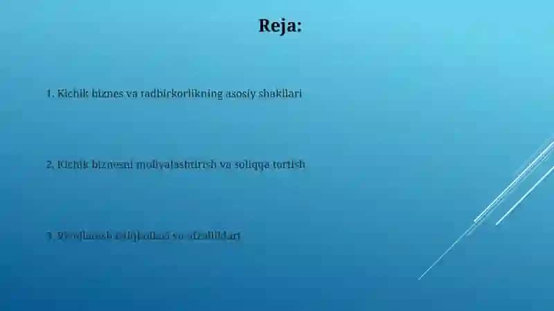 Kichik biznes va tadbirkorlikning turlari va shakllari 2