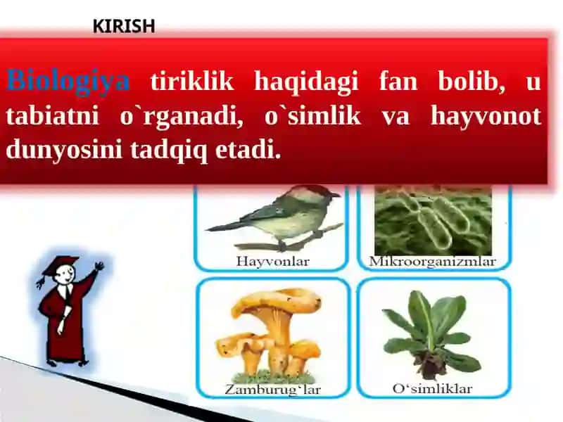 Biologiya Tirik Organizmlar Haqidagi Fan 2