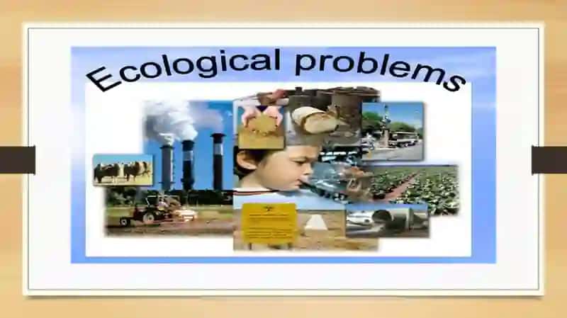 Ecological problems Presentation 2