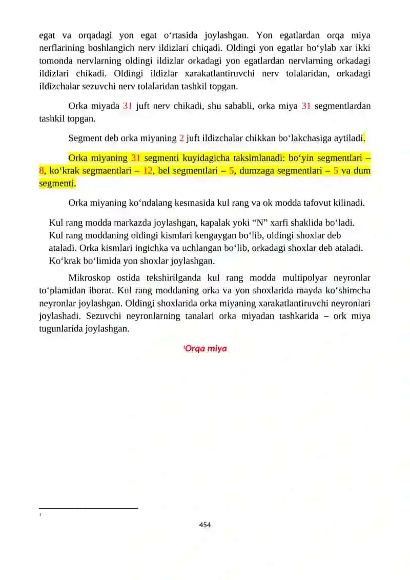 Orqa miya 2