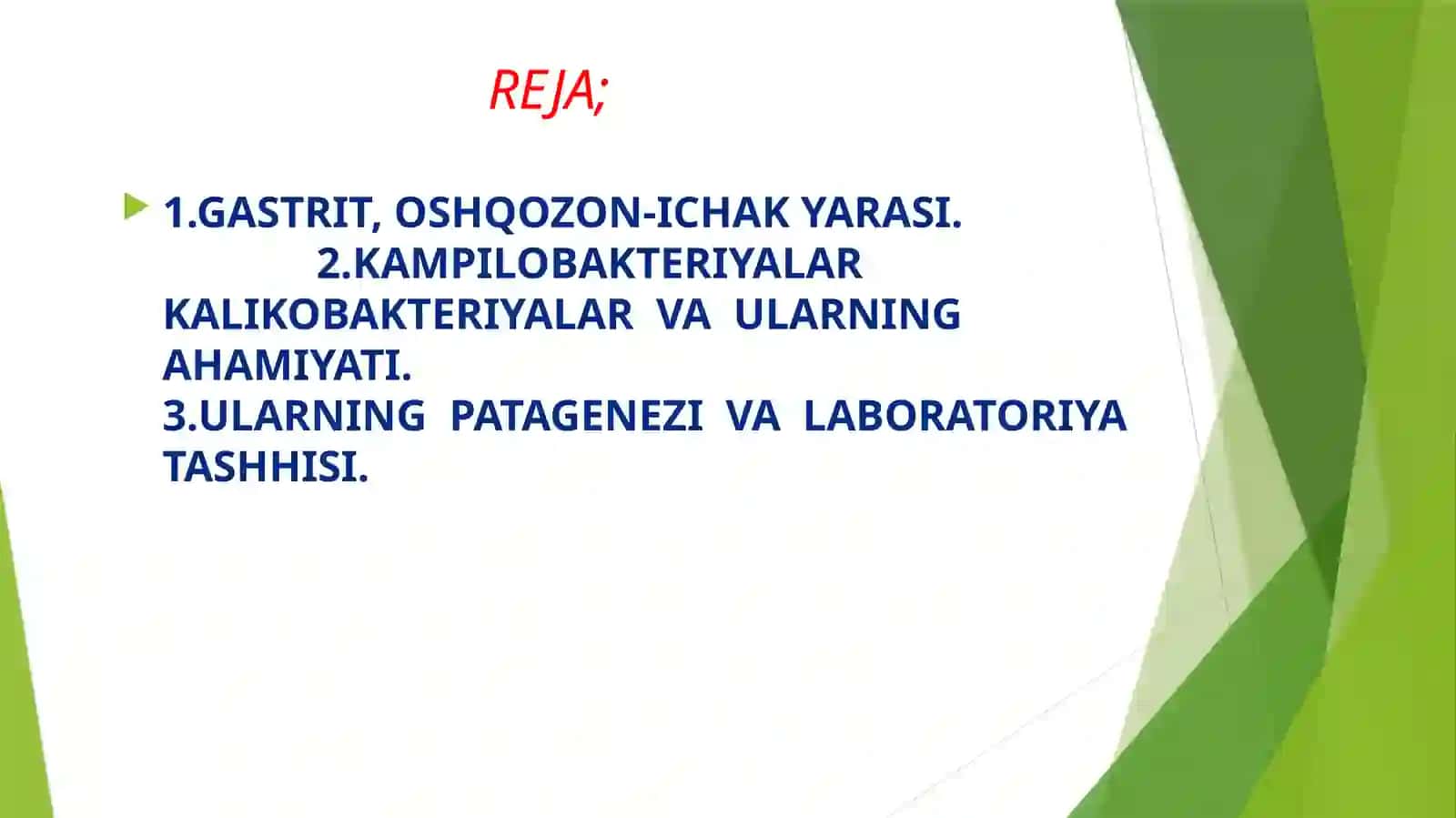 GASTRIT,OSHQOZON-ICHAK YARASI VA KOLIT KELIB CHIQISHIDA MIKRAOORGANIZIMLARNING AHAMIYATI,PATOGENIZI,LABORATORIYA TASHHISI. KAMPILOBAKTERIYALAR, KALIKOBAKTERIYALAR VA ULARNING AMALIYOTDAGI AHAMIYATi 2