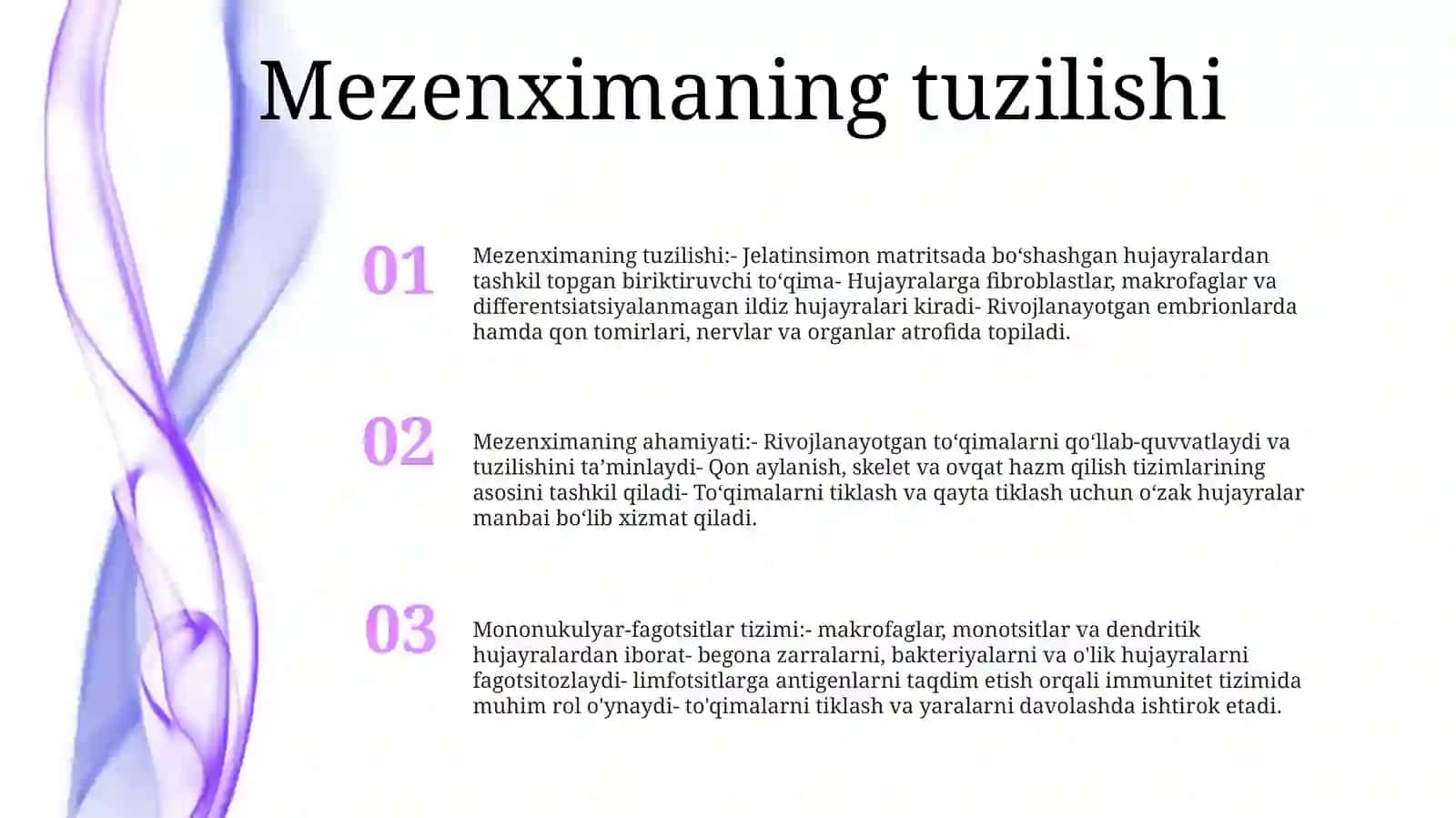 Mezenximaning Tuzilishi Va Ahamiyati 2
