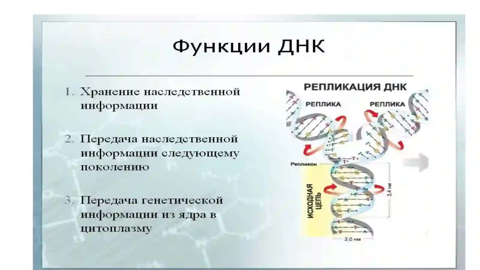 Курс БИОХИМИЯ И МОЛЕКУЛЯРНАЯ БИОЛОГИЯ 2