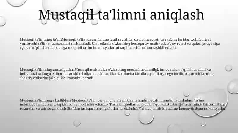 Mustaqil Ta'Limda Va Uni Tashkil Etish 2