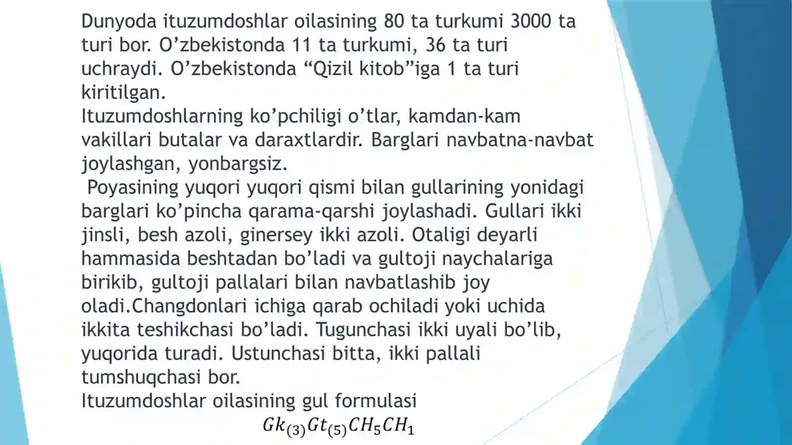 Qoraituzum 2
