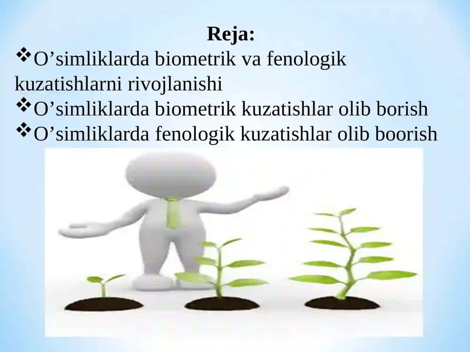 BIOMETRIK VA FENOLOGIK KUZATUVLAR XAMDA ULARNI OLIB BORISH USULLARI 2