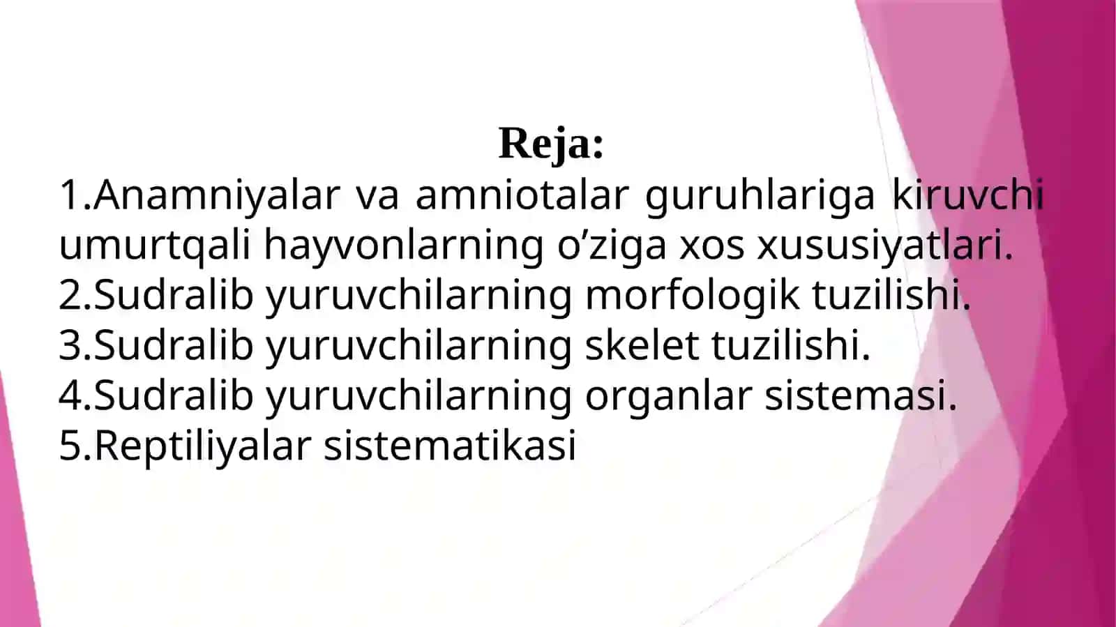 Kaltakesakning tashqi va skelet tuzilishi. Kaltakesakning anatomik tuzilishi 2