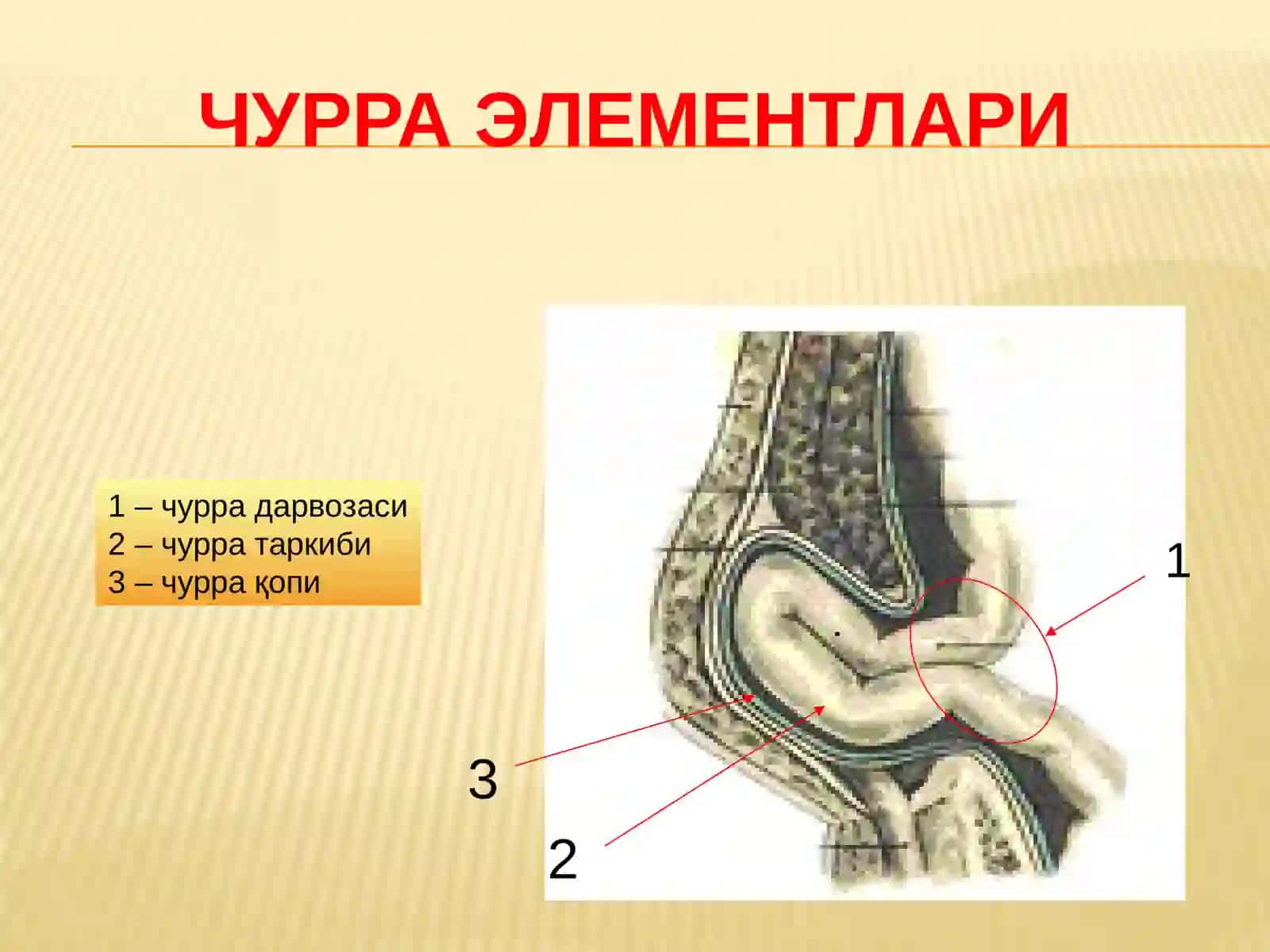 Қорин чурраларива унинг асоратлари 2