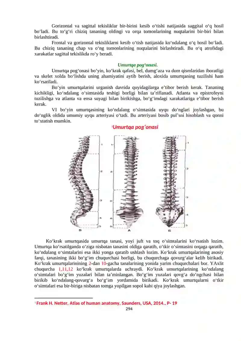 Osteosindersmologiya - Amaliy mashg’ulat №1 2
