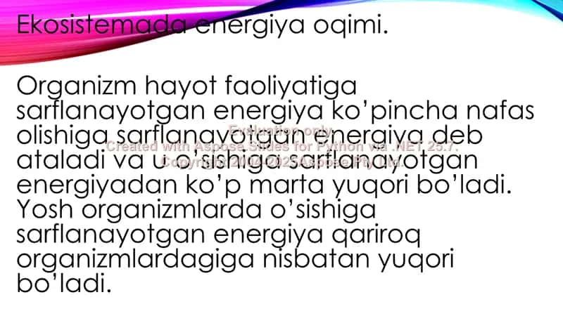 Ekosistemada modda va energiya oqimi 2