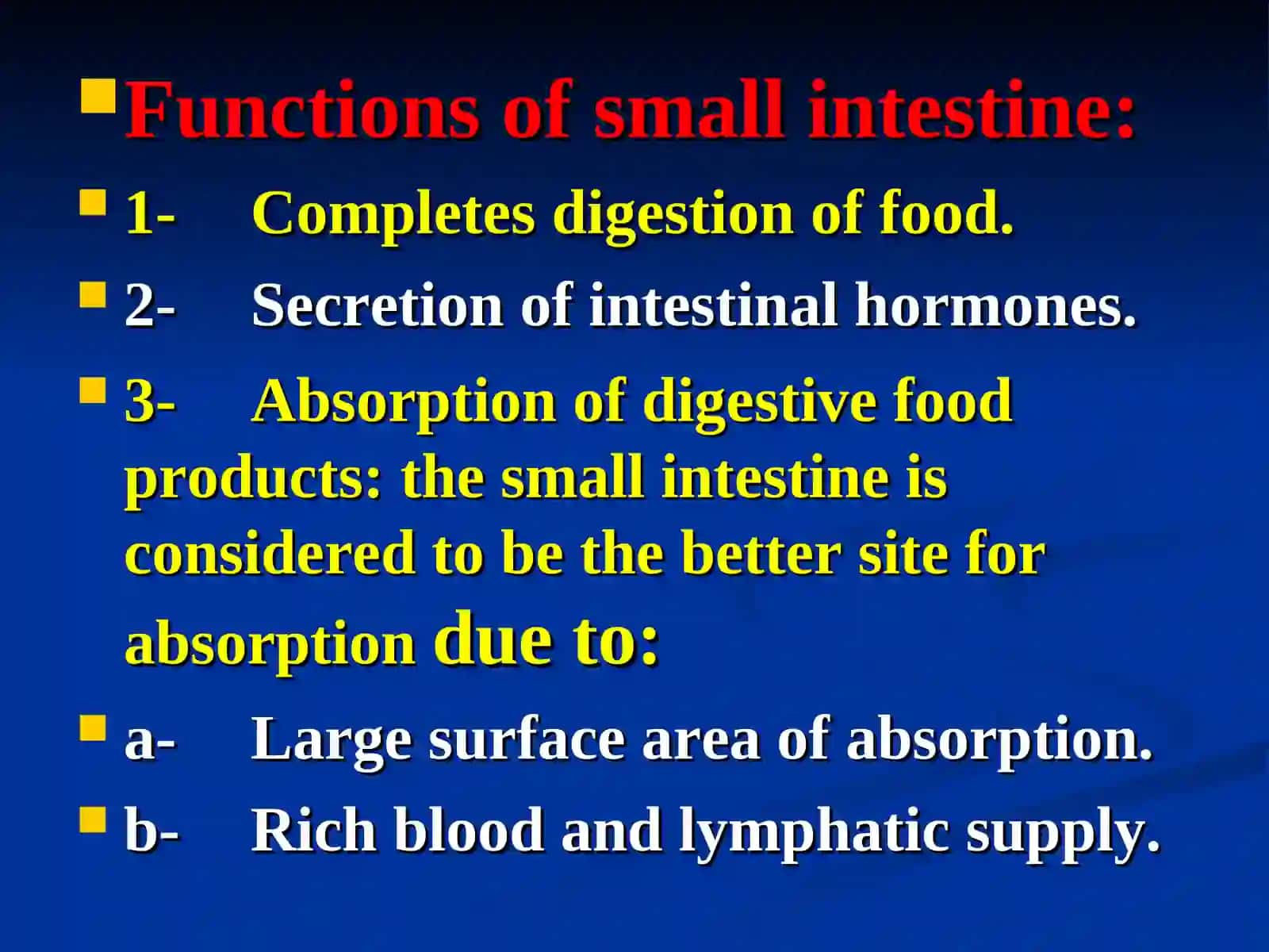 The small intestine 2