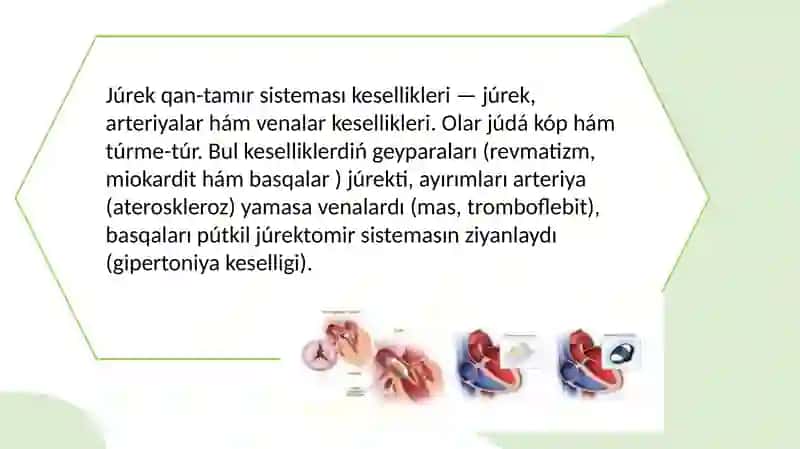 Júrek qan-tamır sistemasi kesellikleri patomorfologiyasi 2
