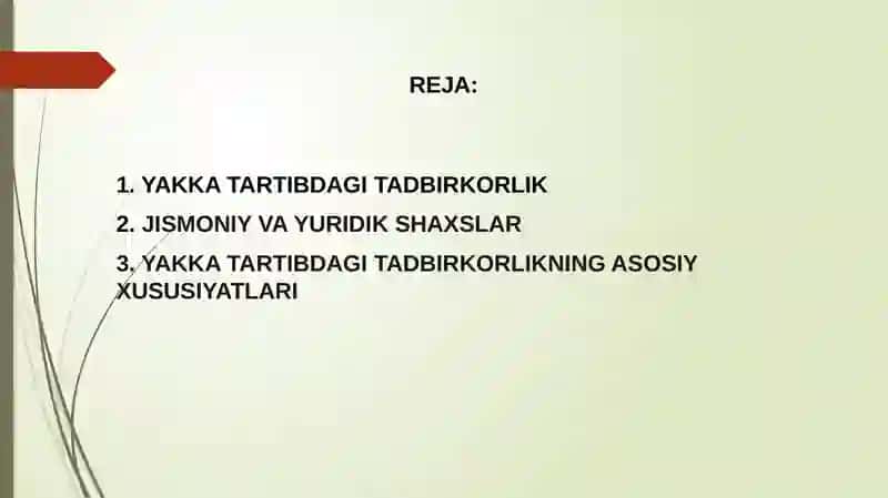 Yakka tartibdagi tadbirkorlik 2