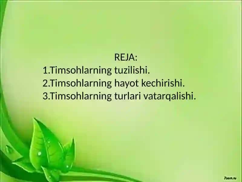 Timsohlarning tuzilishi va hayot kechirishi 2