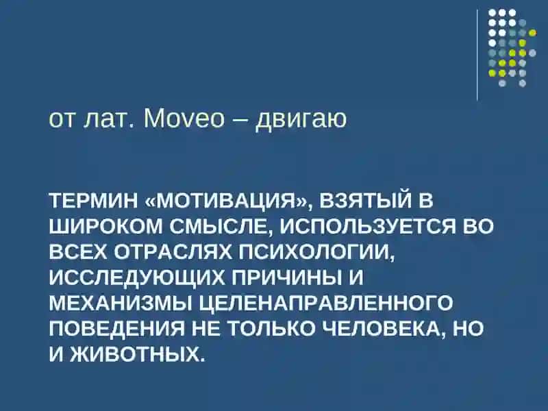 История и современное состояние психологии мотивационных процессов 2