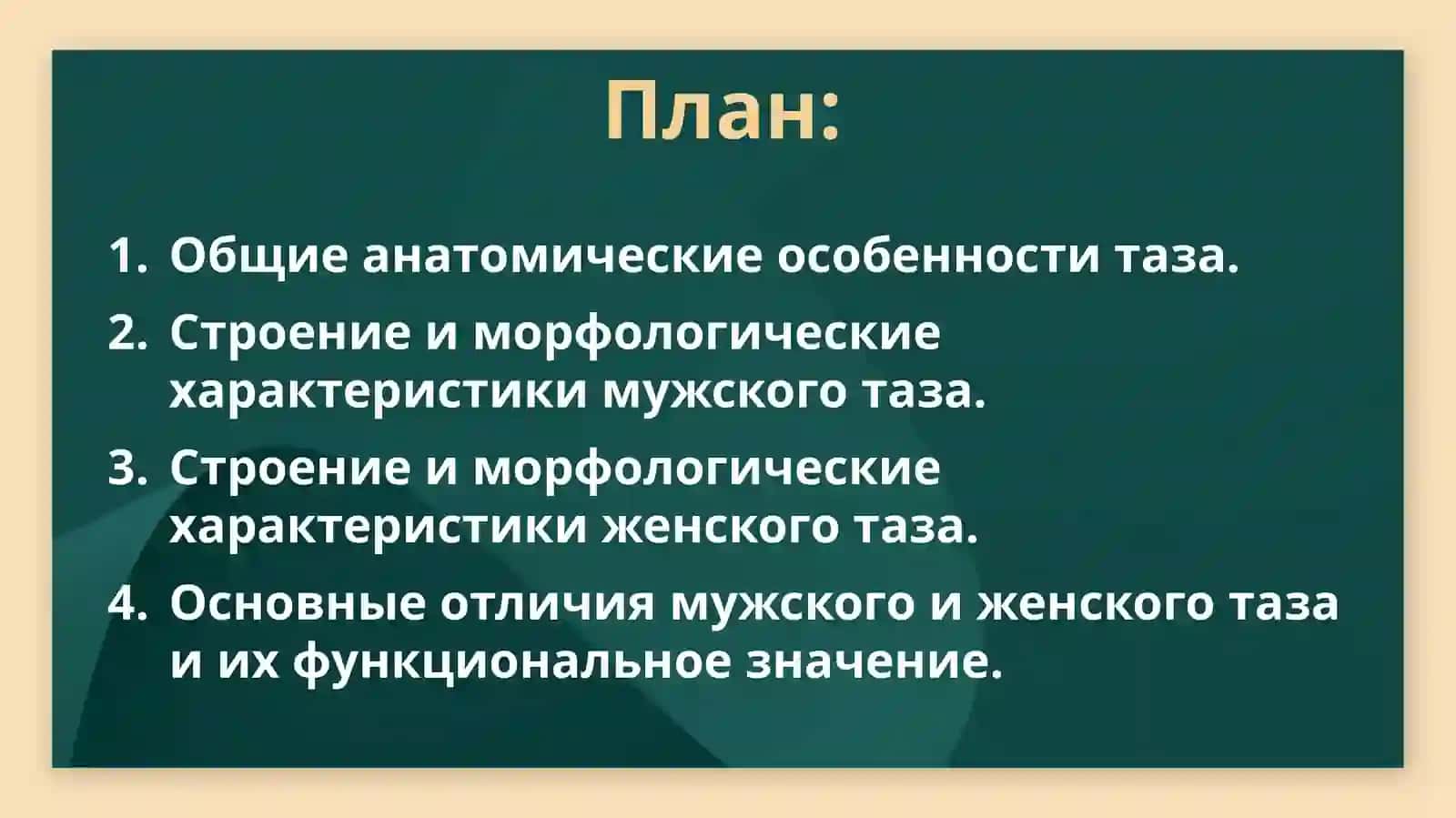 Особенности строения мужского и женского таза 2