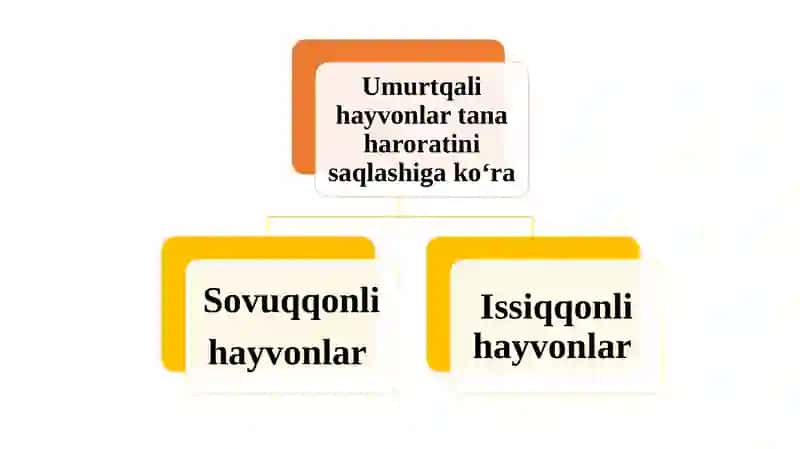 Umurtqalilarning qon aylanish sistemasi 2