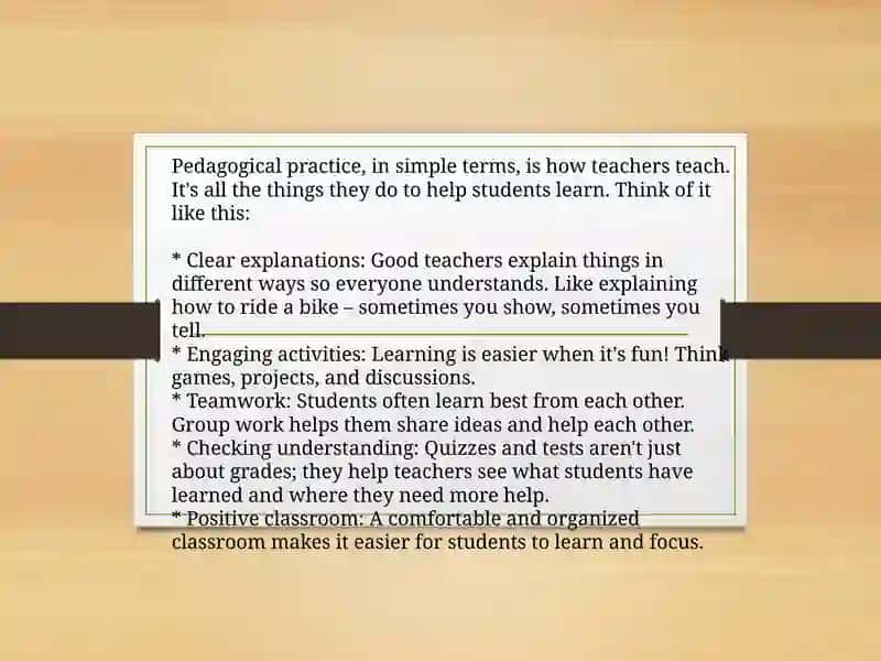 Pedagogical practice 2