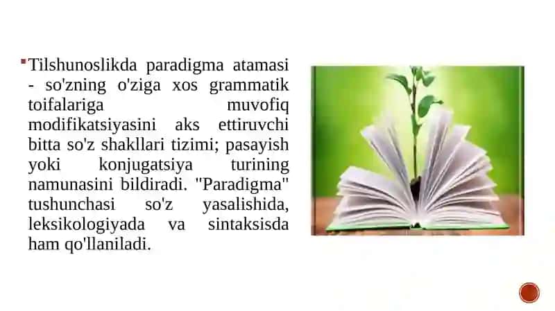 O'zbek tilshunosligida yangi lingvistik paradigmalar 2