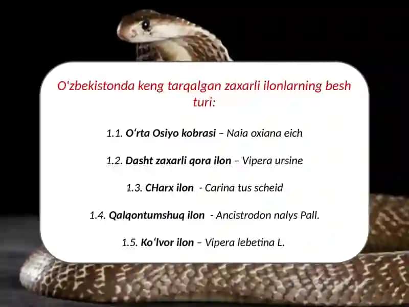 O’zbekistonning zaharli ilonlari, ularning tarqalishi va ahamiyati. 2