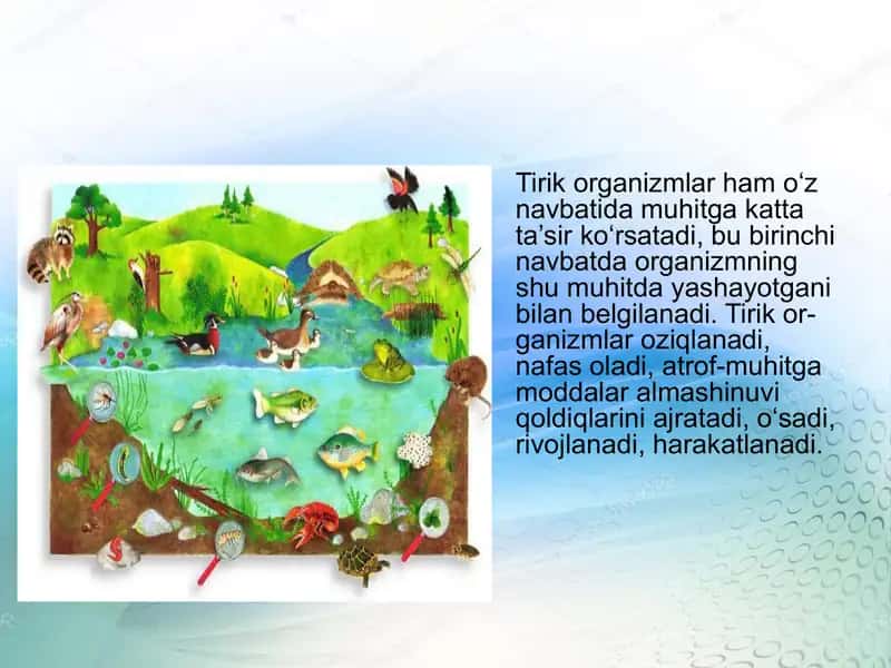 Tirik organizmlar va suv muhiti 2